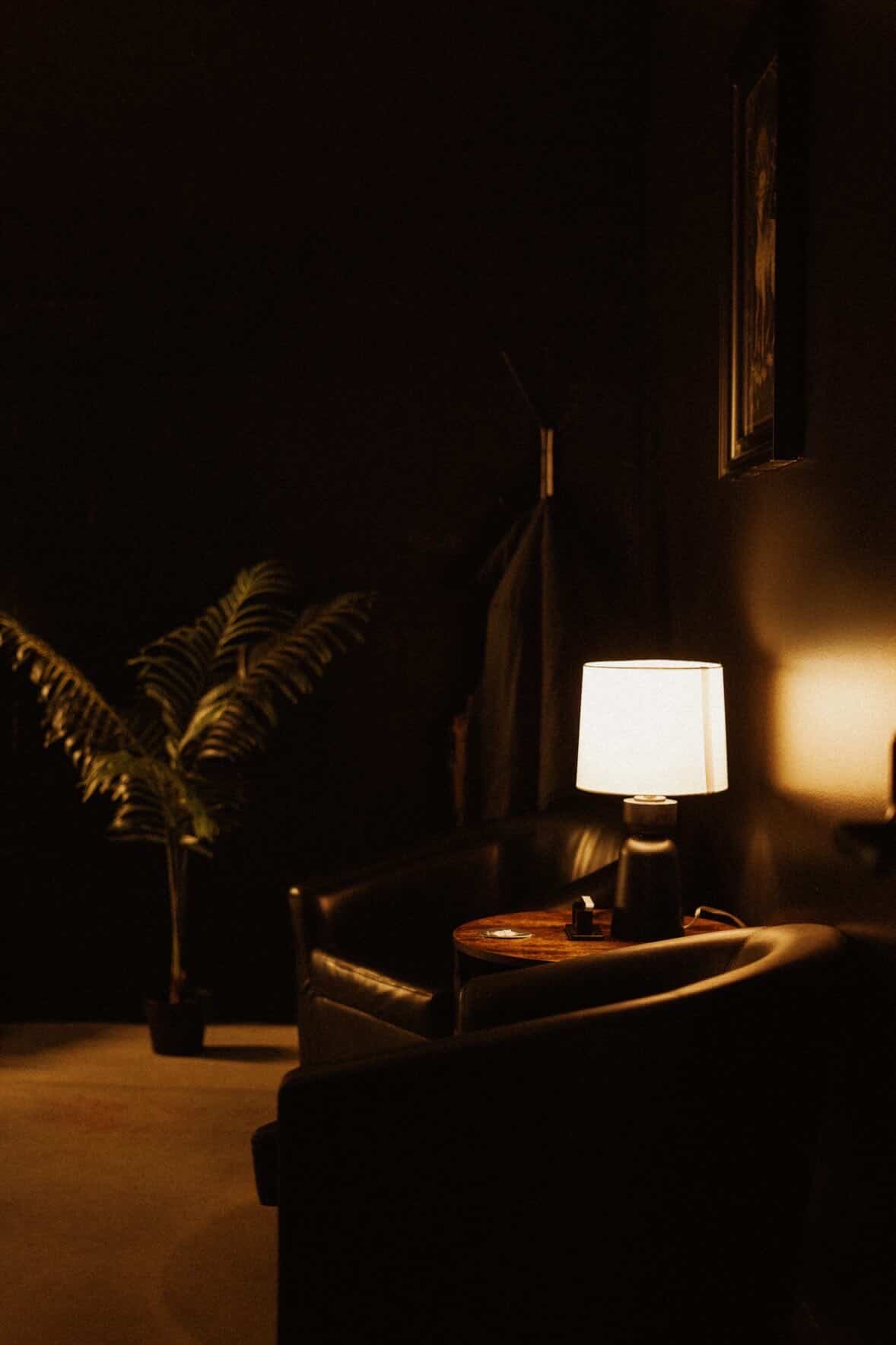 Leather lounge chairs with a table lamp and plant